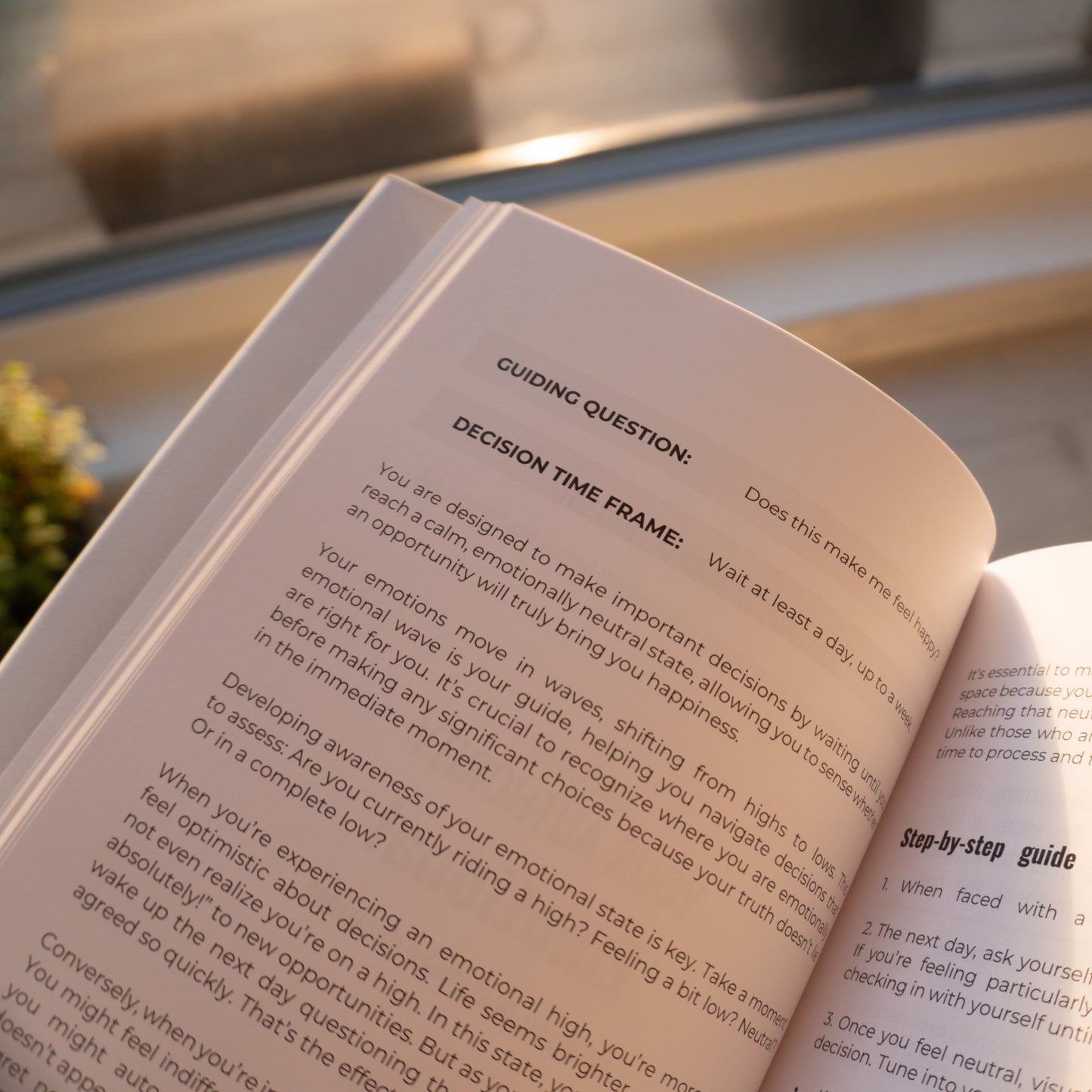 Custom Human Design Guidebook