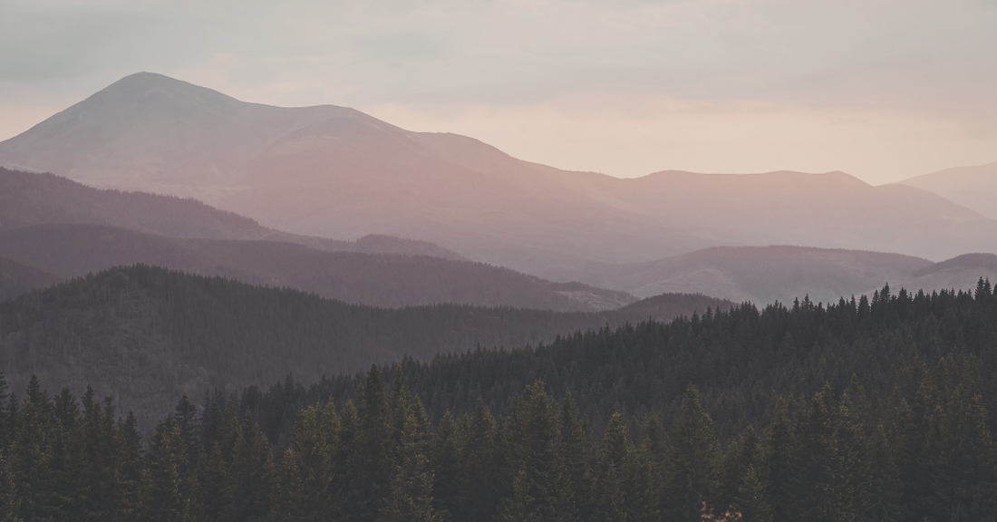 Designing Your Life: The Best Environment for You Based on Human Design