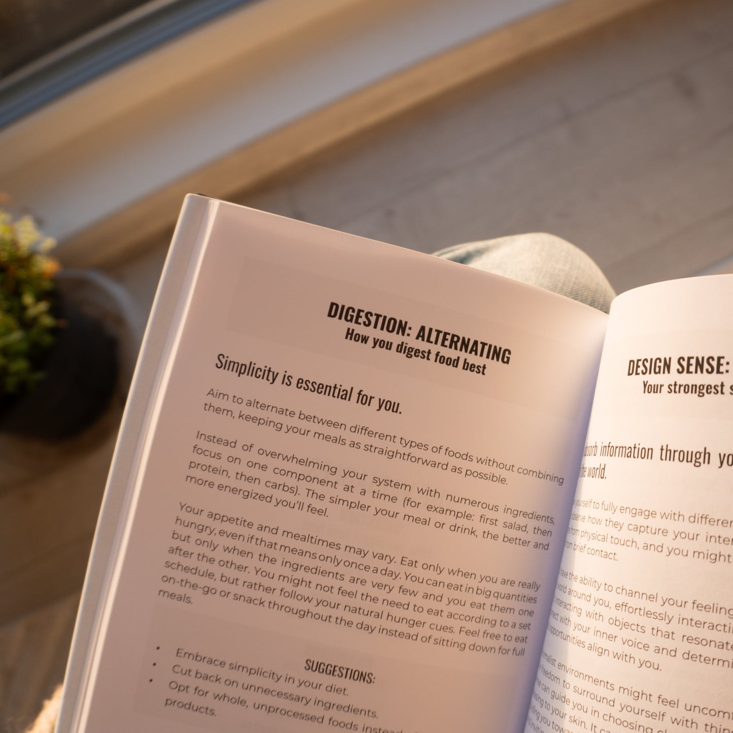 Custom Human Design Guidebook (40% off)